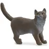 13973 Figurine Chat British shorthair - Schleich