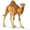 Schleich- Figurine Dromadaire Wild Life, 14832, Multicolore