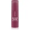 CATRICE Blushin' Charm Multi Stick Blush 10 g