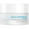 Charlotte Meentzen Aqua Minerals Crème visage 1000 ml