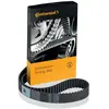 Courroie de distribution CONTITECH CT1234
