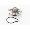 CONTITECH Pompe à eau pour CITROËN: C3, C4, C4 SpaceTourer, Jumpy, C5 Aircross, Dispatch, C3 Aircross, Berlingo, C-Elysée, SpaceTourer (Ref: WP6136)