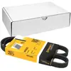 Continental Contitech 4PK920 Courroie trapézoïdale à nervures