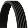 Continental Contitech 6PK1045 Courroie trapézoïdale à nervures