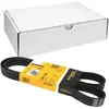 Continental Contitech 6PK1230 Courroie trapézoïdale à nervures