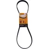 Continental Contitech 6PK1125 Courroie trapézoïdale à nervures