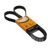 Continental Contitech 6PK1538 Courroie trapézoïdale à nervures