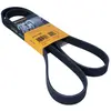 Continental Contitech 6PK1548 Courroie trapézoïdale à nervures