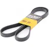 Continental Contitech 6PK1725 Courroie trapézoïdale à nervures