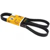 Continental Contitech 6PK1555 Courroie trapézoïdale à nervures