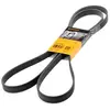 Continental Contitech 6PK2160 Courroie trapézoïdale à nervures