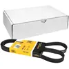 Continental Contitech 5PK1290 Courroie trapézoïdale à nervures