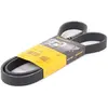 Continental Contitech 6PK1310 Courroie trapézoïdale à nervures