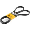 Continental Contitech 6PK1856 Courroie trapézoïdale à nervures