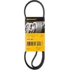 Continental Contitech 4PK895 Courroie trapézoïdale à nervures