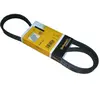 Continental Contitech 5PK1212 Courroie trapézoïdale à nervures
