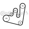 Jeu de courroies trapézoïdales à nervures 6PK1660K2 Contitech 6PK1660K2