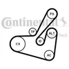 Contitech 6PK1750K1 KIT COURROIE MULTI V