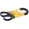 Continental Contitech 6PK1264 Courroie trapézoïdale à nervures