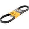 Continental Contitech 6PK842 ELAST Courroie trapézoïdale à nervures