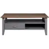 Inter Link Luzerna table basse 2 tiroir,
