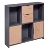 Commode PEPETO 2 portes & 2 tiroirs coloris chêne Artisan /anthracite