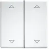 Eltako - DW-FT55-rw+2P Interrupteur à bascule double X249192