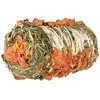 200g Trixie balle de foin avec potiron et carotte Friandise pour petits animaux