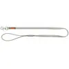 BE Nordic Laisse en Cuir, M L: 1,00 m/20 mm, Gris Clair
