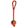 TRIXIE Balle Sur Une Corde Denta Fun, Caoutchouc Naturel, Ø 7 Cm/24 Cm - 3299