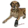 Lot de 2 paires de protège-pattes pour chien Trixie Walker Care TU