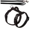TRIXIE Harnais Chat Avec Laisse, Nylon, 26-43 Cm/10 Mm, 1,20 M - 4188 - Mon Animalerie