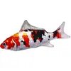 Coussin de jeu Aumüller Carpe Koï - pour chat