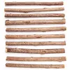 1 lot (10 bâtonnets) à la vigne d'argent Aumüller, pour chat