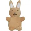 1 jouet Aumüller Lapin Baldi-Bunni pour chat