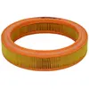 Mann filter Filtre à air pour FORD: Escort, Orion, Fiesta (Ref: C 2534)