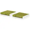 Mann filter Filtre, air de l'habitacle FreciousPlus, par ex. pour BMW, Alpina
