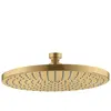 Hansgrohe AXOR Starck Douche de tête, 1 jet, 28494250,