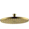 Hansgrohe AXOR Starck Douche de tête, 1 jet, 28494990,