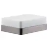 AXOR Universal Accessories Tablette de douche, 42802340,