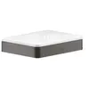 AXOR Universal Accessories Coupelle à savon, 42803340,