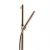 Hansgrohe AXOR Starck Set de douchette avec barre, 2 jets, 27980300,