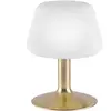 Paul Neuhaus tilly - Moderne LED Dimbare Tafellamp - 1 lichts - H 20 c...