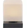 Paul Neuhaus lampe de table LED Dadoa, anthracite, verre, intensité variable