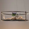 Paul Neuhaus Contura Suspension LED, 2442-18,