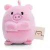 Nici Cochon Onk Sur Carte de Tête Ourson 5 Cm Rose Rose One Size