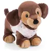 Nici Chien Skida Slachicha Avec Combinaison De Neige Teddy