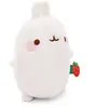 NICI MOLANG, Lapin, 0 an/année, Interactif