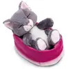 NICI Peluche Chat Gris 12cm, Dormant dans Son Panier - Peluche pour câliner et Aimer, Produit durablement à partir de matériaux recyclés - 49746