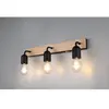 TRIO Leuchten Arturo Applique murale E27, 284470332,